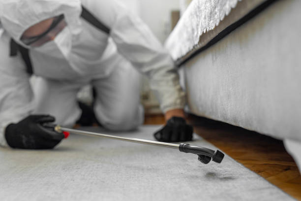 Professional Termite Control technician working in Mishicot, WI