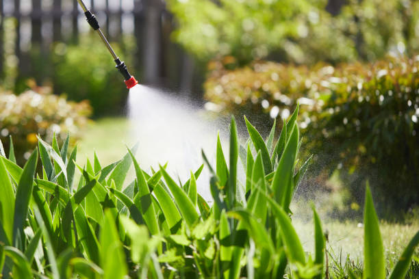 24/7 Emergency Termite Control experts in Mishicot, WI