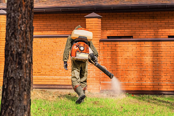 Top rated local Termite Control specialists in Mishicot, WI